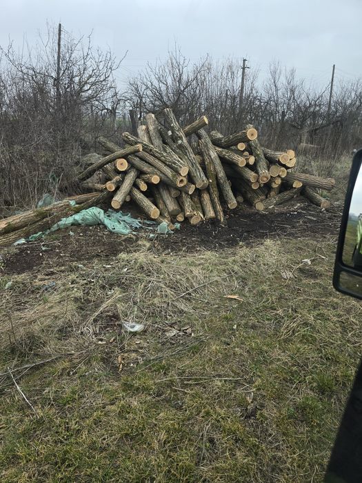 Stalpi de salcam pt gard sau terase rustice