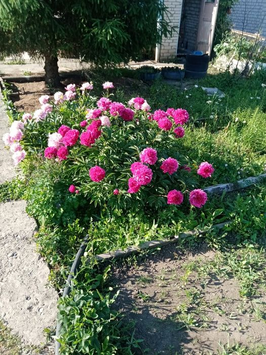 Продам дом на даче Акжар 1 ск поиск газ свет вода все проведено