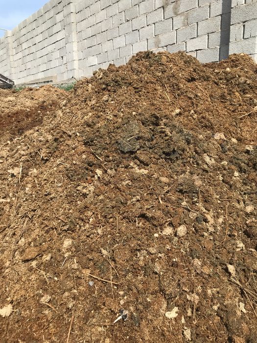 Жылқының көңі  сатылады