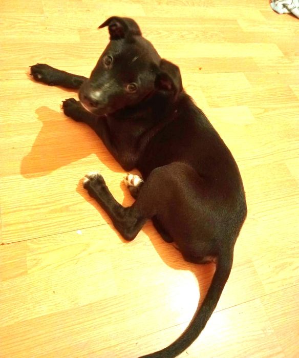 Маленькая сладость