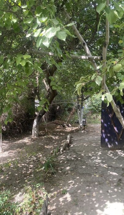 Уй ховли, дом 1 этажеый