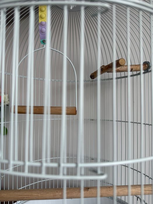 Продам клетку для птиц