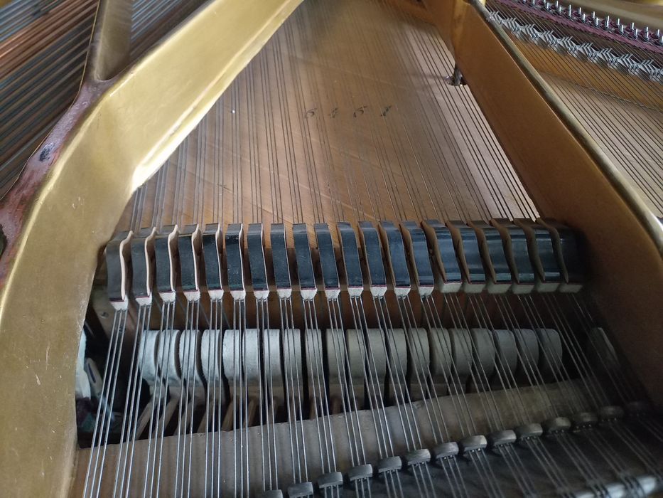 Роял Carl Dörr Wien от началото на ХХ век