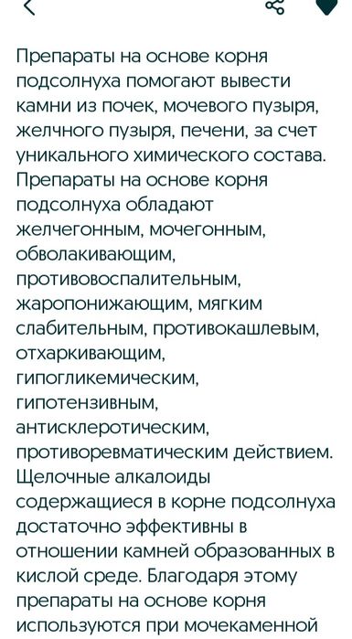 Корни подсолнуха