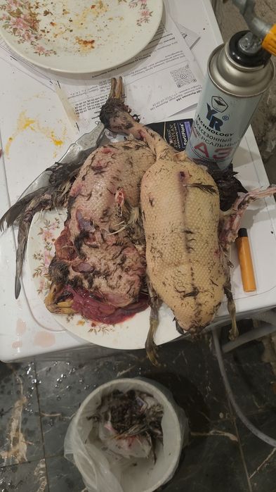 Блок двигателя ЯМЗ 240БМ2