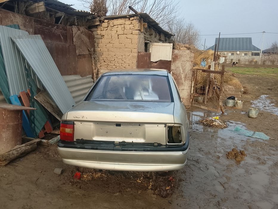Опель задний кузов