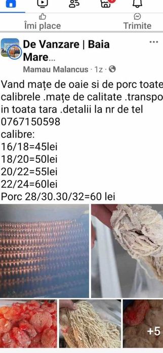 mate maturale de calitate toate calibrele
