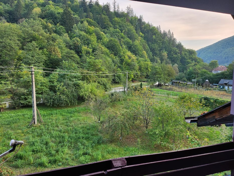 Închiriez casa și grădină