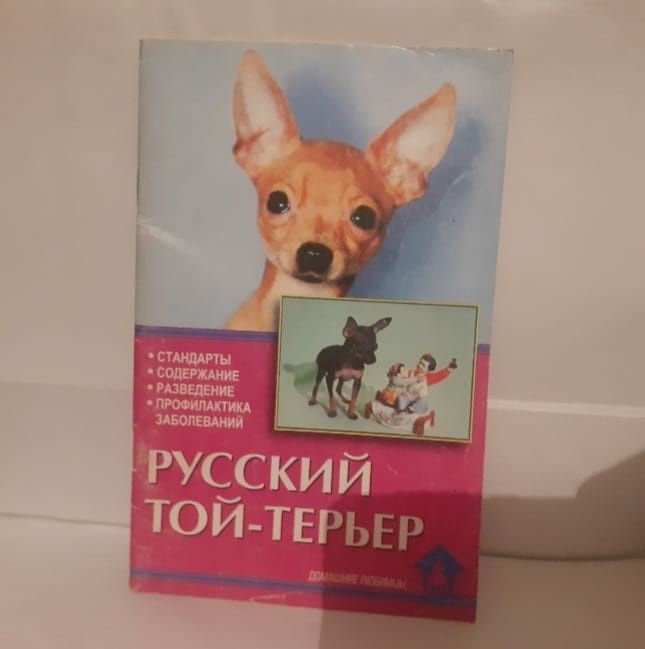Русский той терьер
