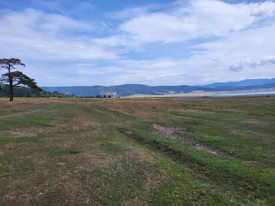 Продава се Парцел в Батак - 5000 кв.м за 16 €/кв.м - Снимка #2