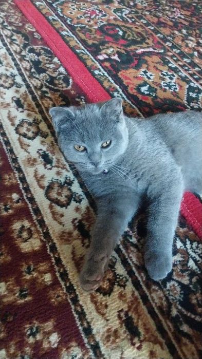 Eng yaxshi lateks porno onlayn