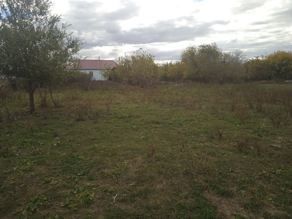 Продам дом в поселке Тобол