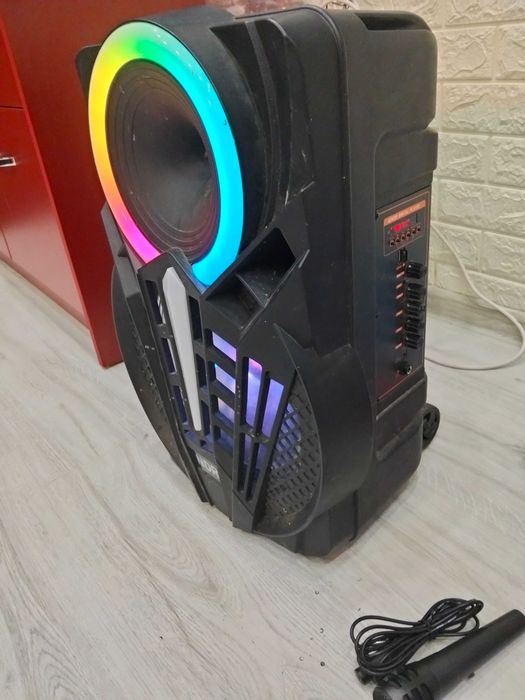 Караоке колона ndr 12'