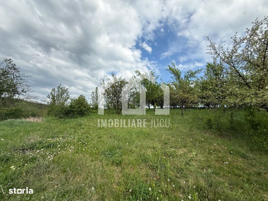 Teren intravilan construibil – 2.100 mp | Căianu