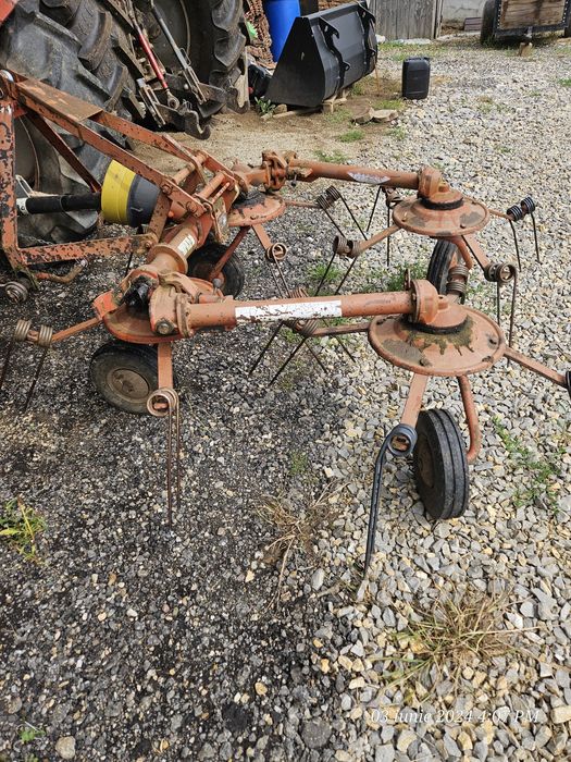 Grebla intors răvășit fan