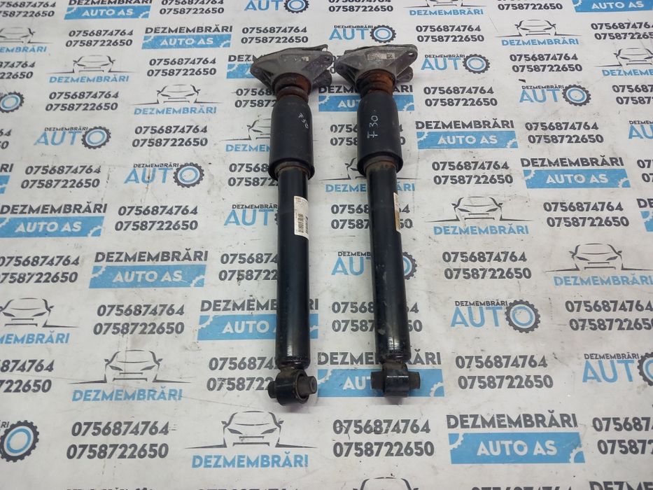 Telescoape spate BMW F30 Seria 3