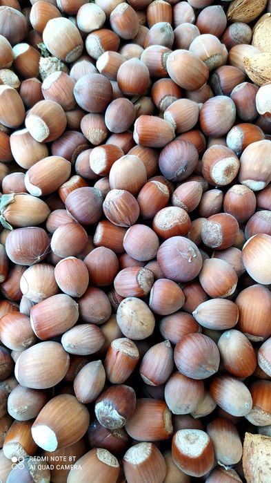 Овощна градина с пчелен