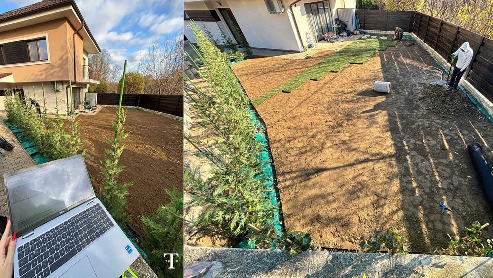 Amenajari gradini, Proiectare 3D - echipă de ingineri peisagiști