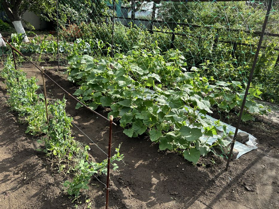 Продам дачу Сосновый бор