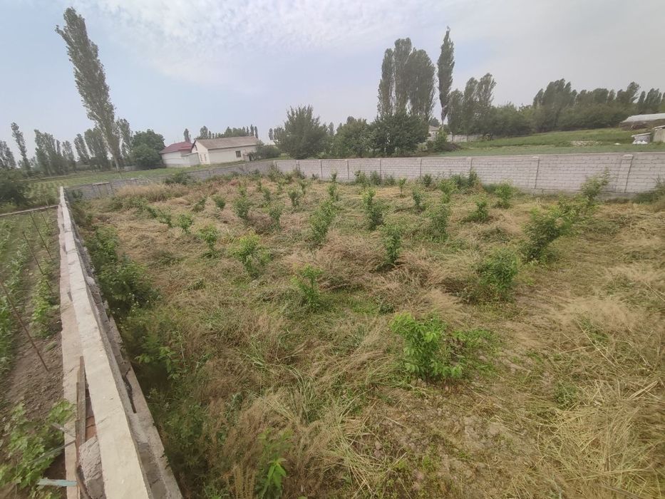 Toshkent viloyati Oʻrtachirchiq Ekologik hududida