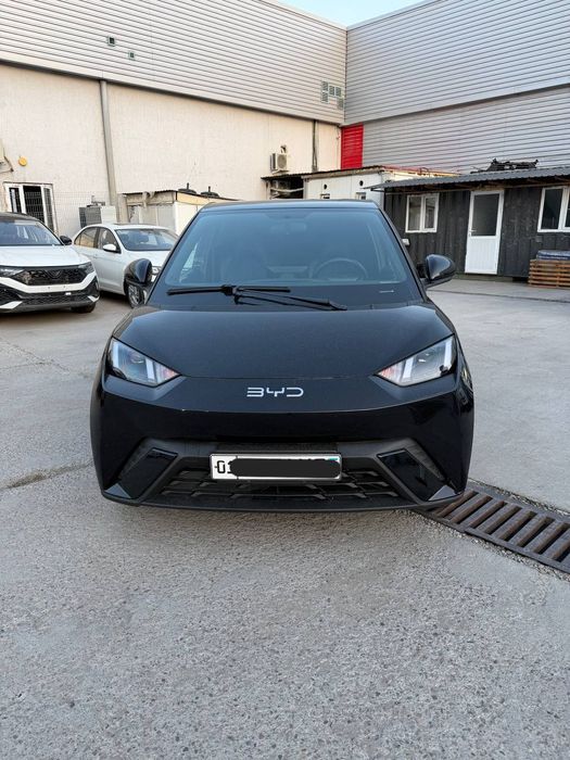 Seagull byd flying. 2024yil. Spark o'rniga. Srochna sotiladi.