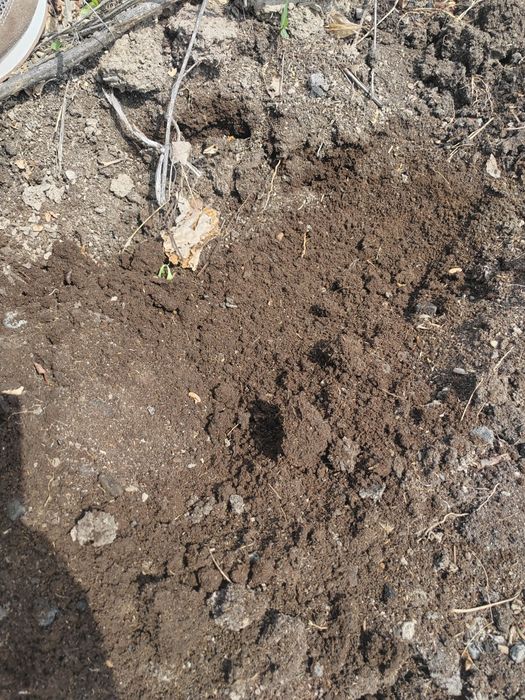 Биогумус 60 тенге