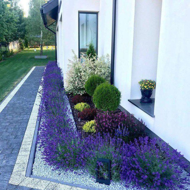 Landshaft dizayni koʻchat yetqazish