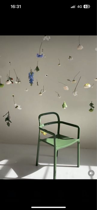 Продам цветы декоративные