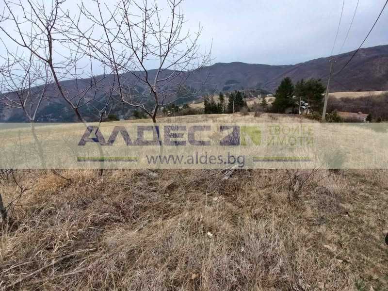 Поземлен имот до регулация в с. Кокаляне