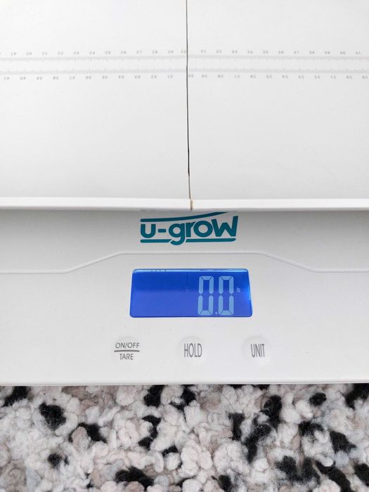 Cantar pentru bebelusi si pentru copii mari  0 - 100 kg model U-grow