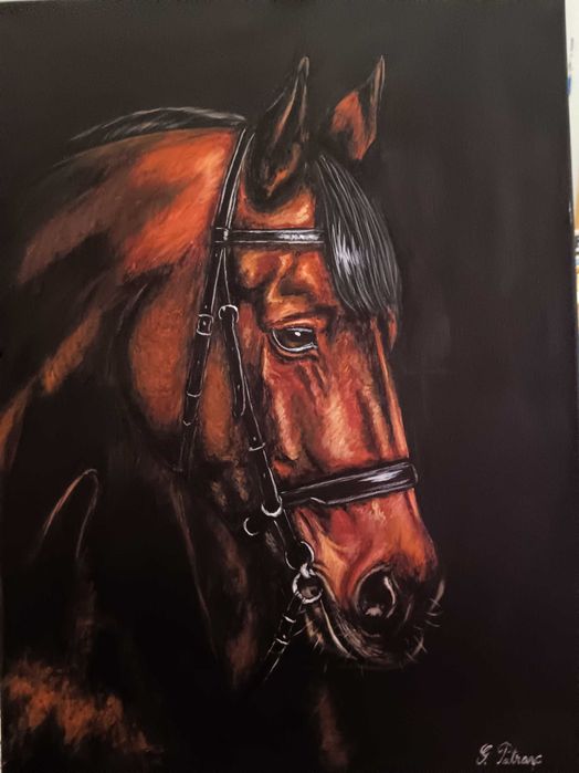 Pictura pe panza 70x50 cm