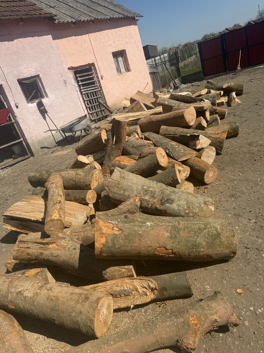 Sc‼️Depozit autorizat comercializăm lemne de foc de cea mai bună calitate la cele mai mici prețuri‼️