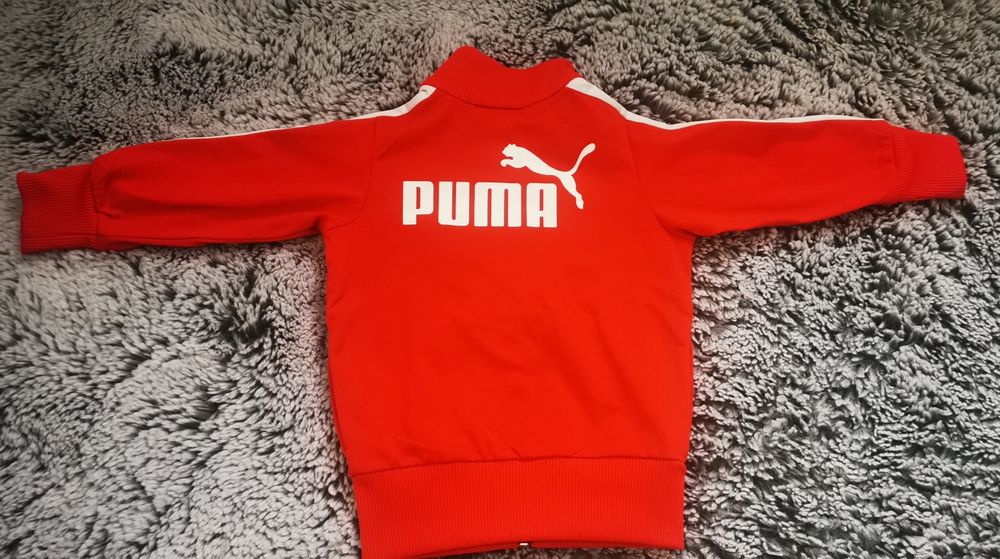 Детска горница " Puma"