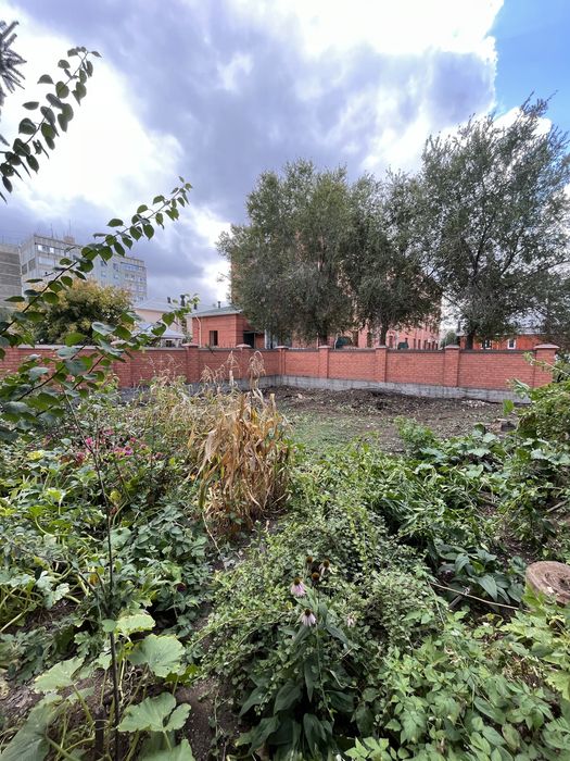 Профессиональный спил деревьев в Актобе