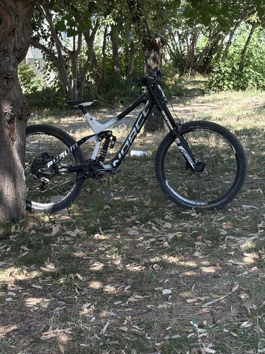 Norco Aurum 7.3 Carbon