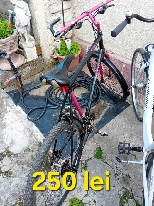 De Vânzare 250 lei