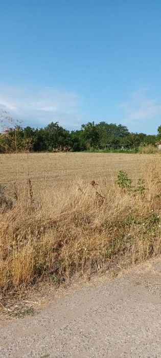 Продава се Парцел в с. Раковски, Област Добрич - 4014 кв.м за 6 €/кв.м - Снимка #1