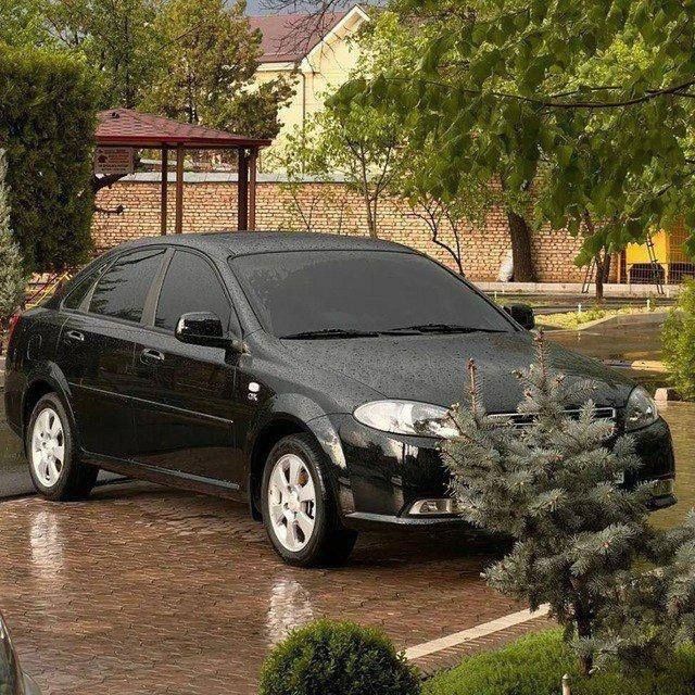 Tonirovka skidka 99.000 tanirovka tonirofka tanirofka тонировка скидка