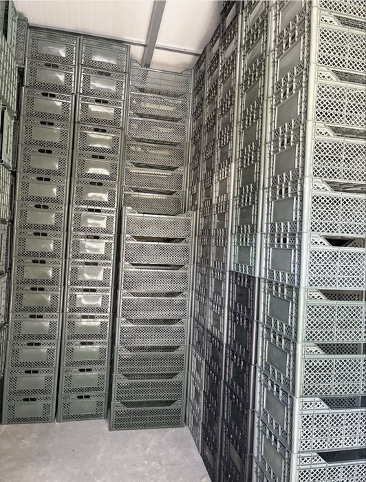 Балик учун катта ва сифатли ящиклар