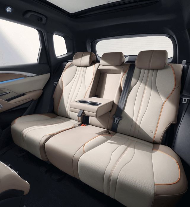 Local Driver / Private transfer