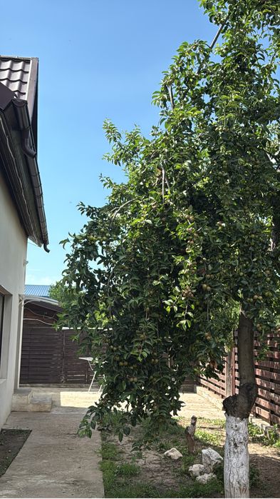 Inchiriez casa in oras Voluntari-Metro