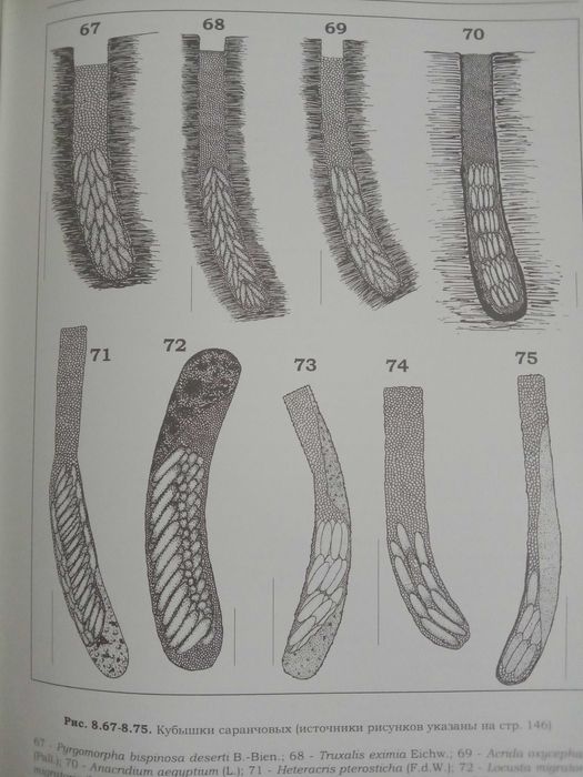 ПЕСТИЦИД против вредителей