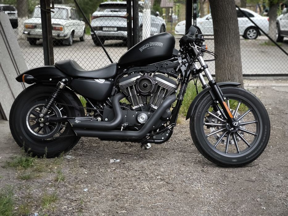 Harley Davidson sportster 883 iron custom