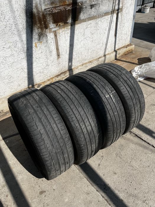 Continental Premium contact 6