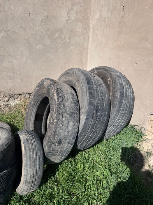 Шины  летние / зимние