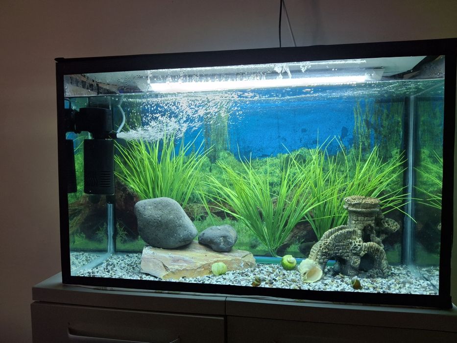 Akvarium sotiladi 200 litrli