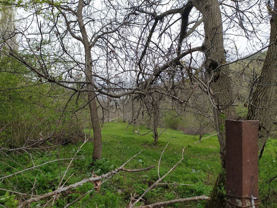 Продается земля в Бостанлыкском районе, Хумсан.