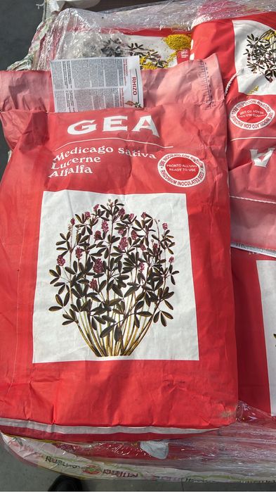 Ingrasaminte,Seminte,Furaje