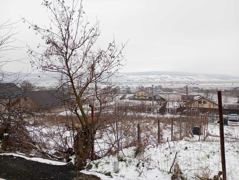 Teren intravilan in Secuia