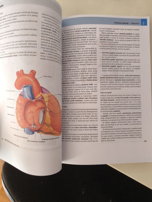 Anatomia lui Gray pentru studenți  vol 1